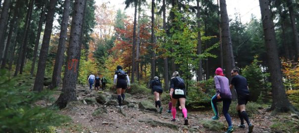 Erfolgreiche Premiere des O-SEE UltraTrail am 19.10.2019 im Zittauer Gebirge